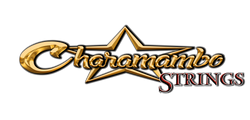 CHARAMAMBO LLC